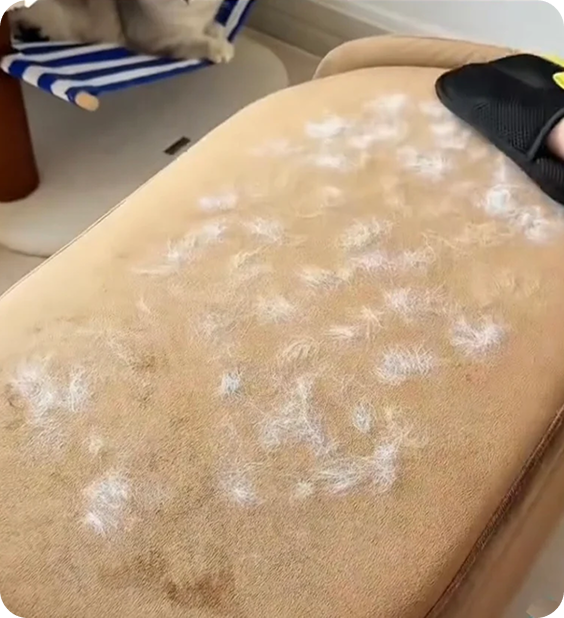 Before removing fur