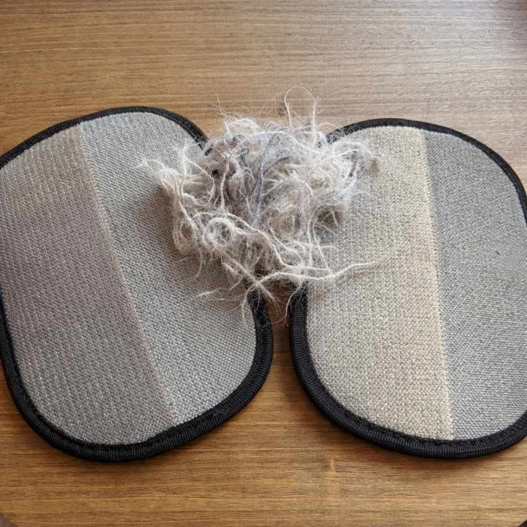 Pet hair removal results from Emit S. - Detroit, MI