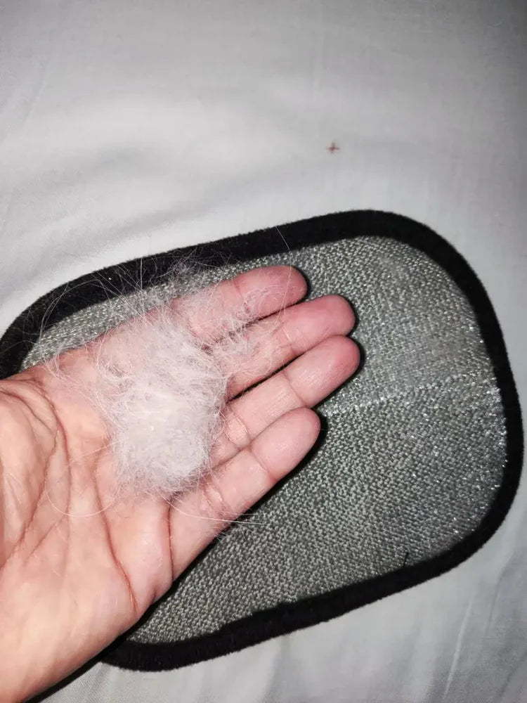 Pet hair removal results from Kevin D. - San Diego, CA