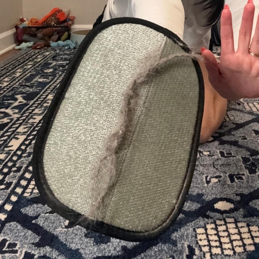 Pet hair removal results from Maya O. - Jersey City, NJ